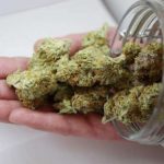 Consider Buying From The same day weed delivery victoria Service