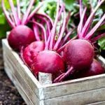 Benefits Of Eating Beet PuffsFor Toddlers