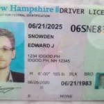 The Benefits of Having a Fake Id on ID God