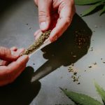 Essential Considerations When Purchasing a Weed Filter
