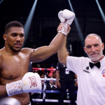 Catch Every Punch for Free: Watching Pay-Per-View Fights with BoxingStreams