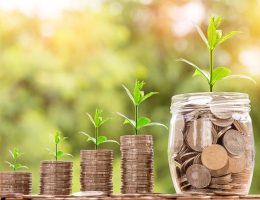 Coins stacked with small plants growing out of them, representing financial growth