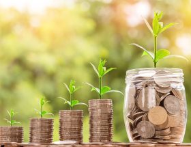 Coins stacked with small plants growing out of them, representing financial growth
