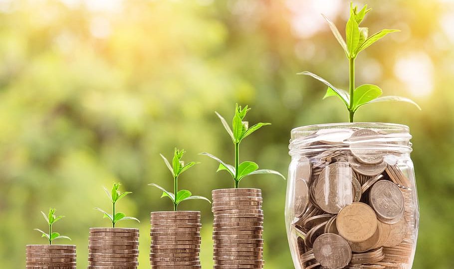 Coins stacked with small plants growing out of them, representing financial growth