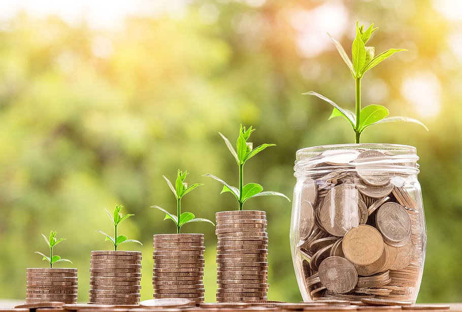 Coins stacked with small plants growing out of them, representing financial growth