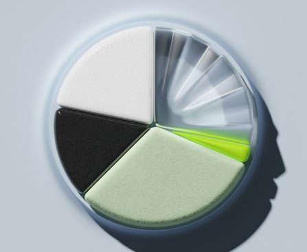 colorful segmented diagram representing strategic elements
